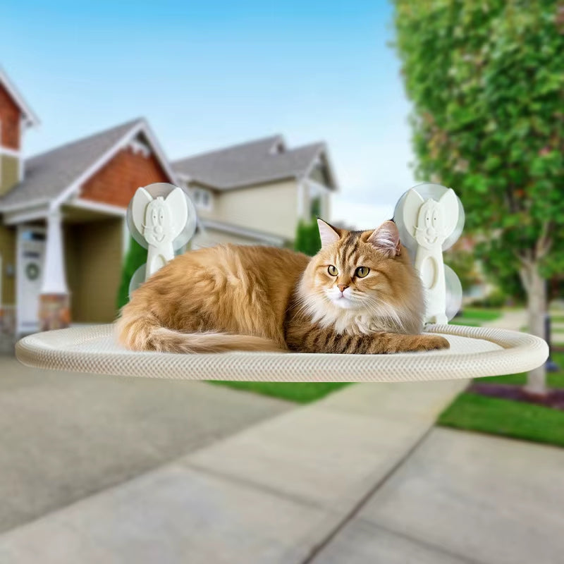 New Cat Hammock All-Season Universal Suction Cup No Punching Wall-Mounted Foldable Cat Nest Space-Saving Pet Hammock